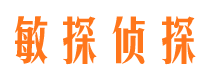 龙泉敏探私家侦探公司